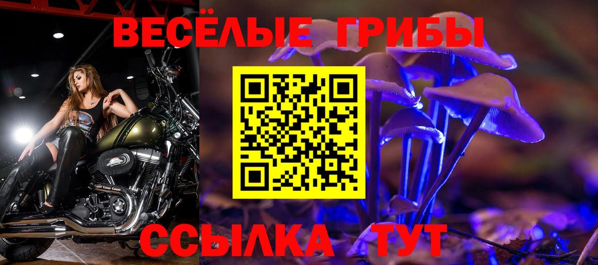 Галлюциногенные грибы Magic Shrooms  Вход с VPN  Псилоцибиновые грибы ЛСД  Алейск 